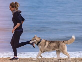 Canine-Friendly Fitness: Staying Active and Healthy Together with Your Dog