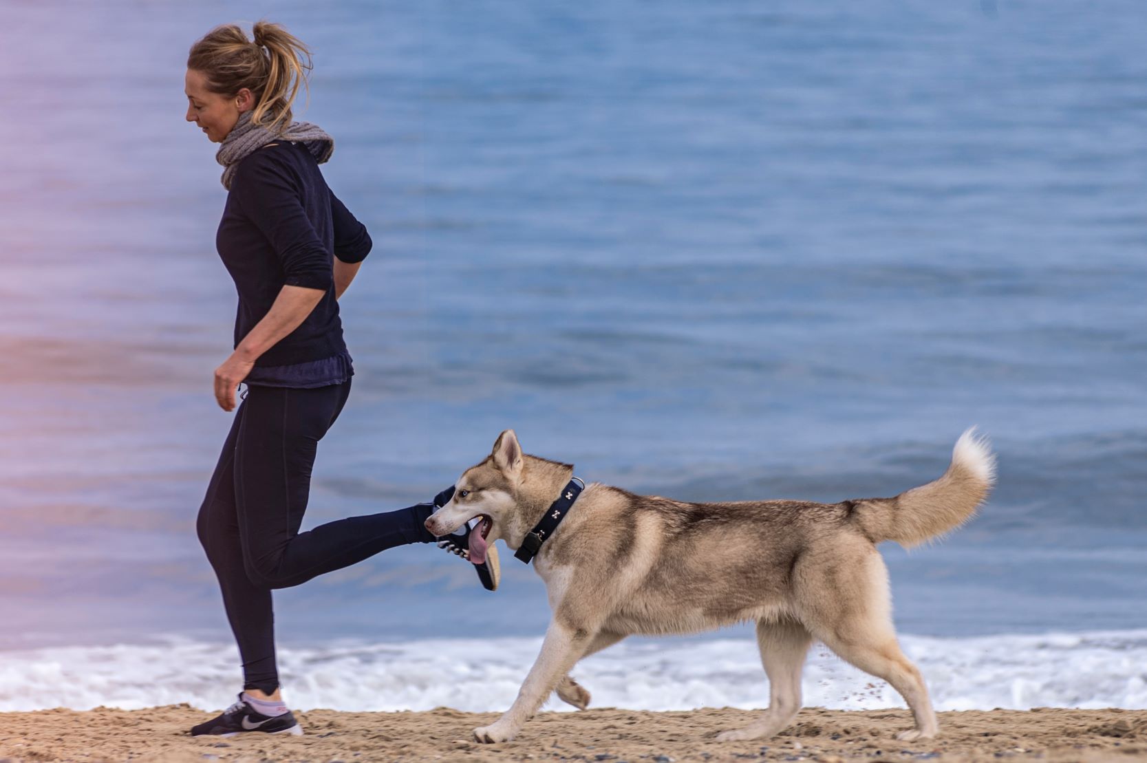 Canine-Friendly Fitness: Staying Active and Healthy Together with Your Dog