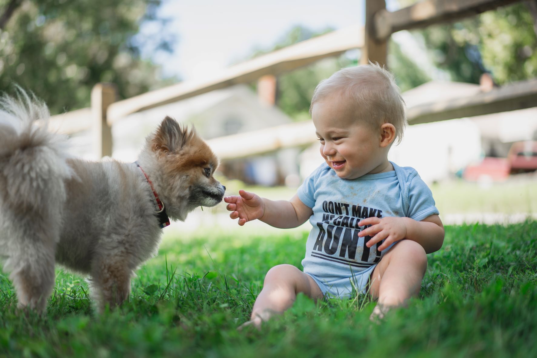 how to train a dog to act with a kid